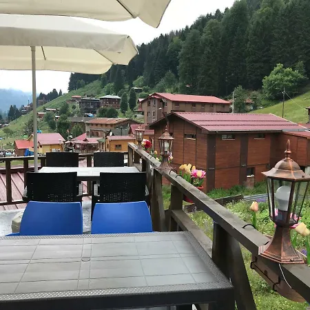 Hotel Serender *